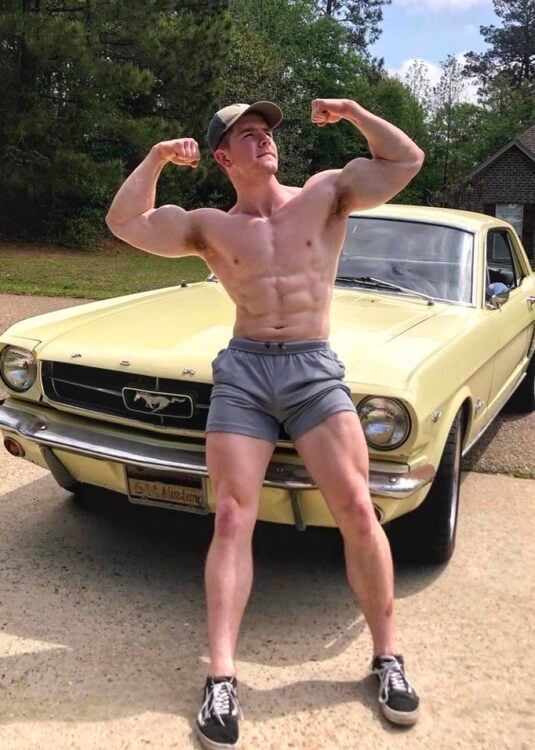Mustang Muscles.jpg