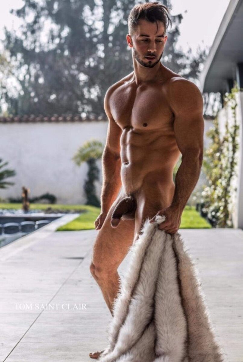 studhunk.jpeg