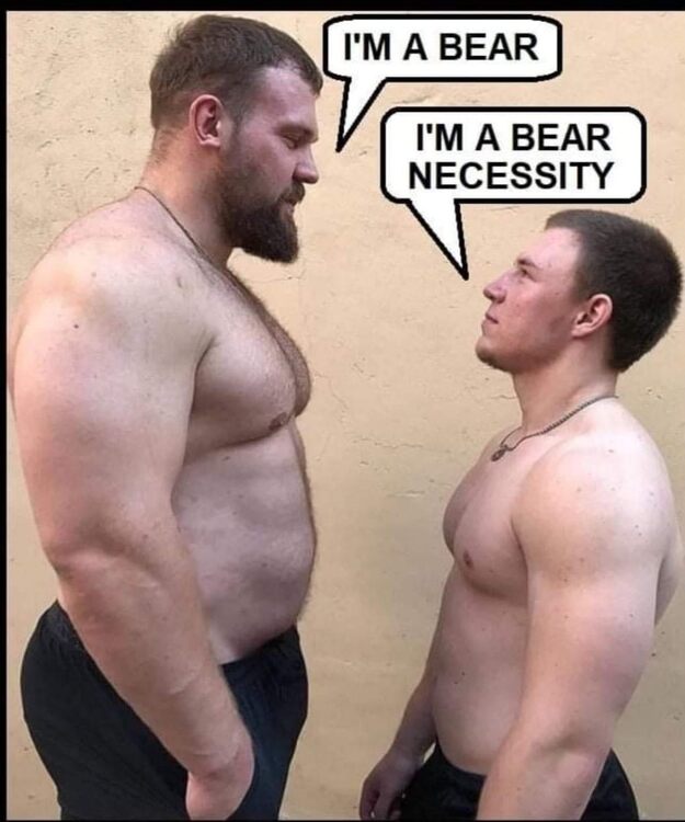 Size & Bear.jpg