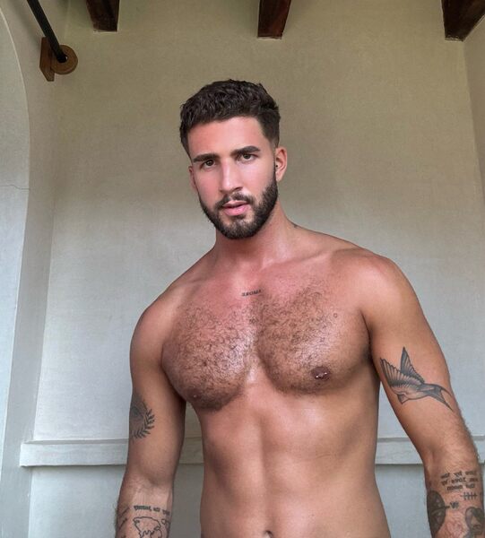 Joe Polito