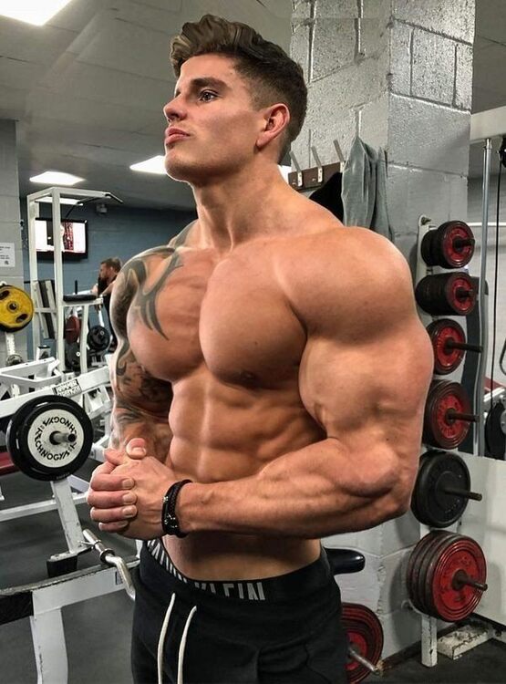 Adonismuscle.jpg