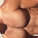 musclestuduws