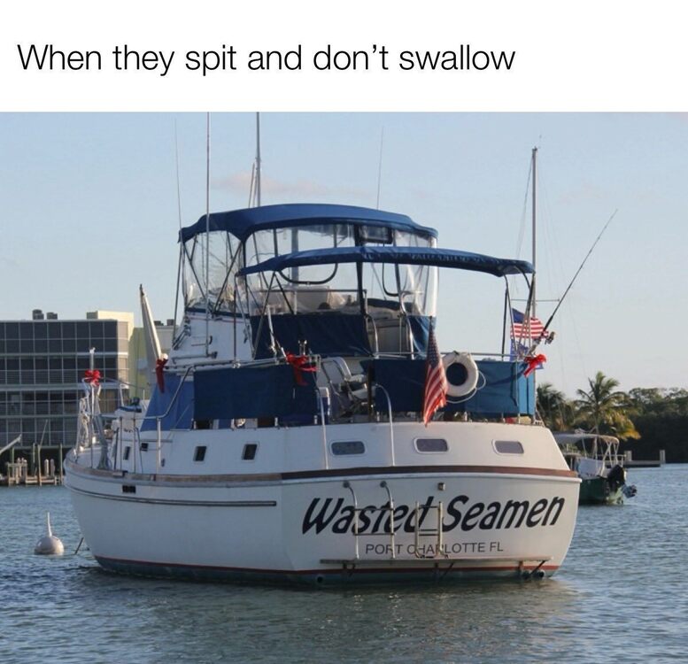 Wasted Seamen.jpg