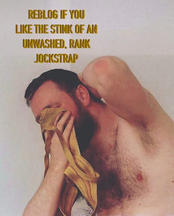 Rebog Jock Strap.jpg