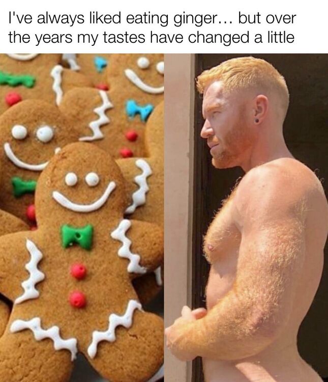 Ginger.jpg