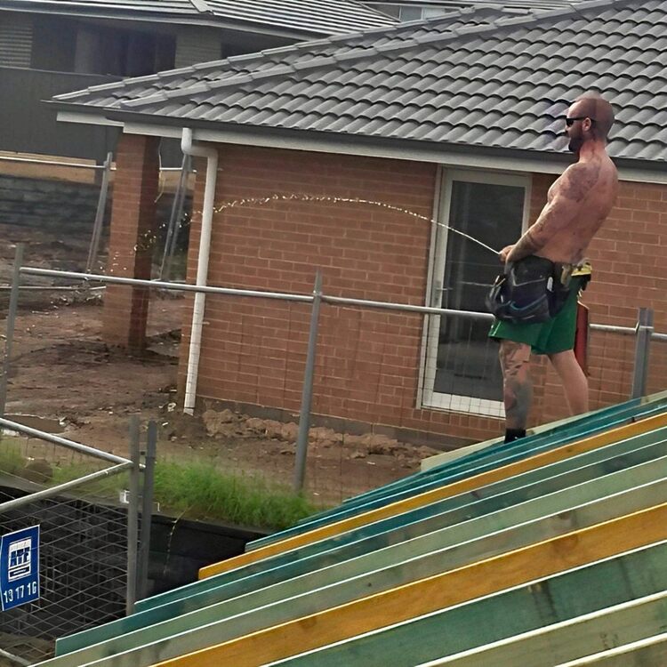 RooferPeeing.jpg.bc508d16511698320d594e8a9e20b814.jpg
