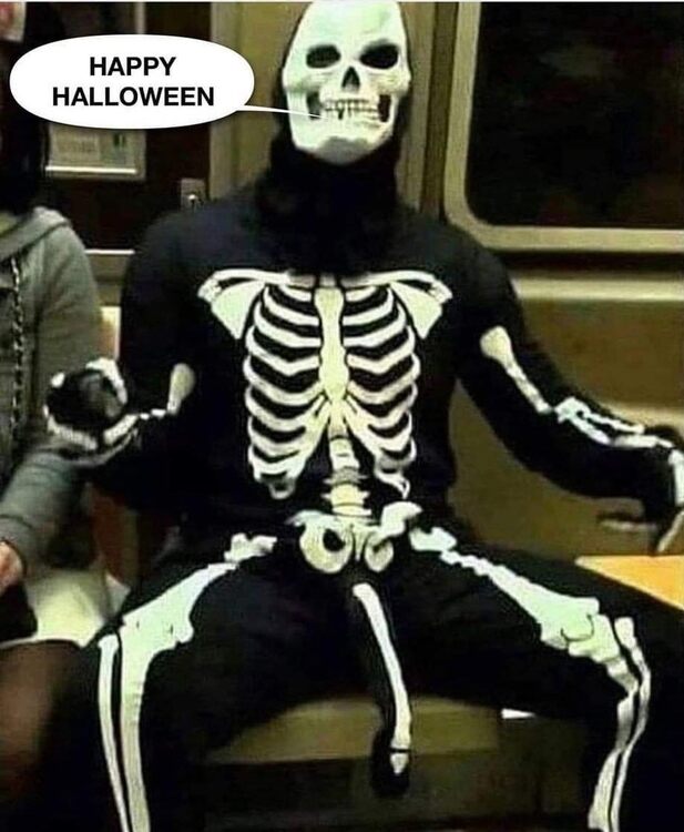 Halloween Costume.jpg