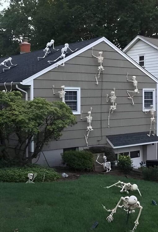 Halloween Decorations.jpg