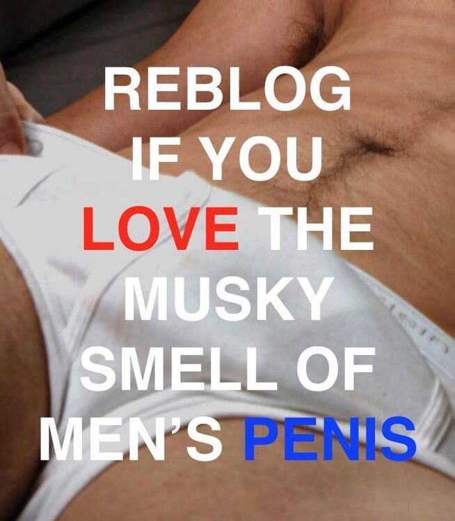Musky Smell of Penis.jpg