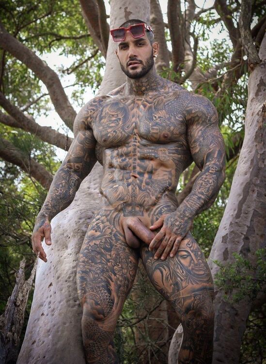 Tatted Bull.jpg