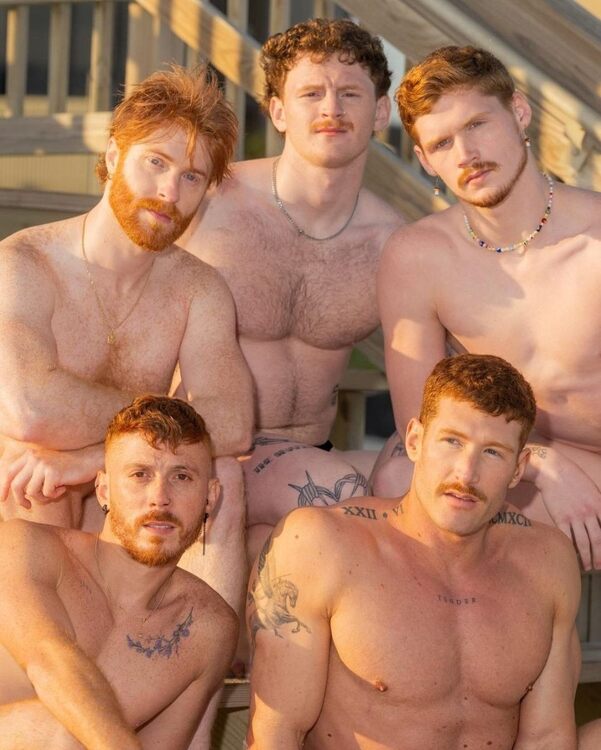 5 Gingers.jpg