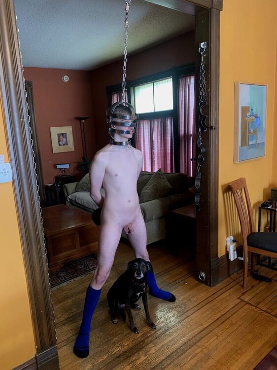 250327 GmtZcFpXUAAU7PF.jpeg