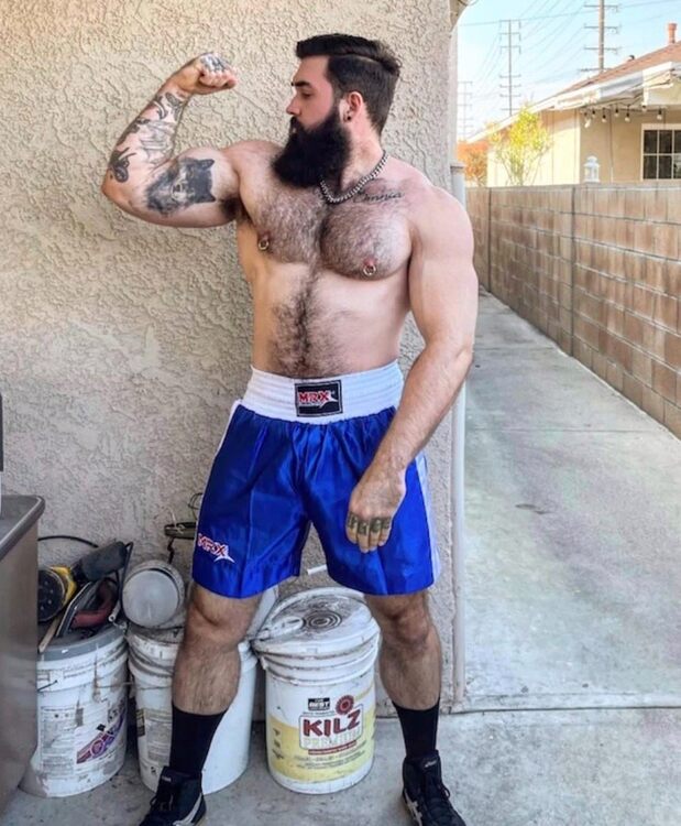 MuscleStud.jpg