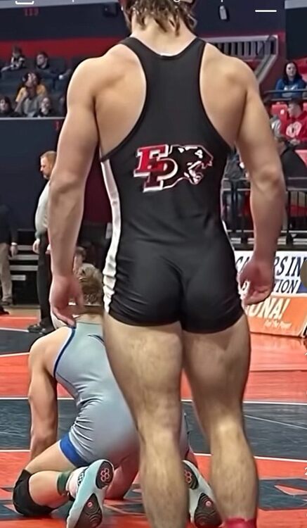 Wrestlers1.jpg