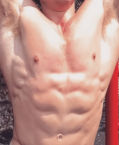 joshua taubes (1).gif
