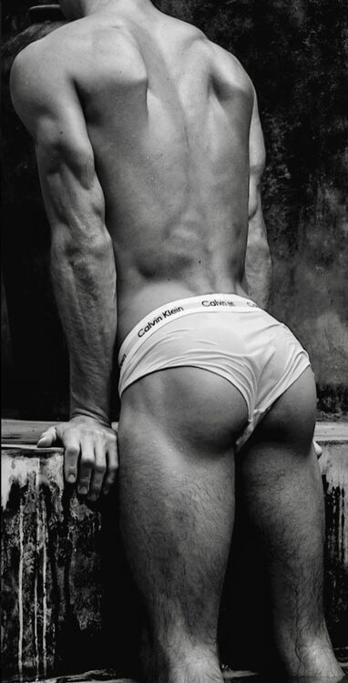 xxxwhite backside.jpeg