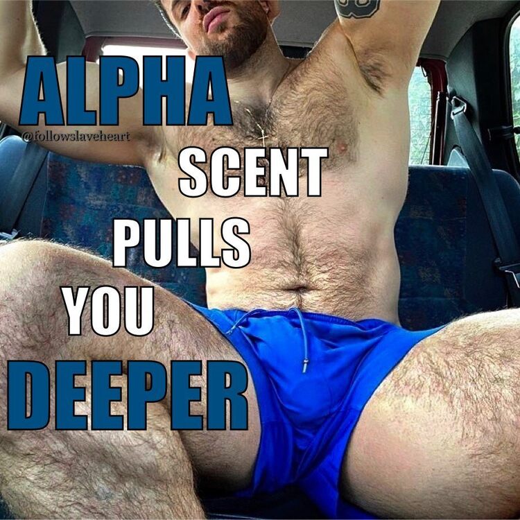 Alpha Scent.jpg