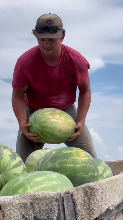 Ripe As Melon 2.jpg