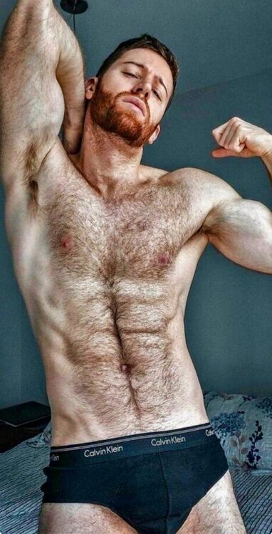 xxxginger furry.jpeg