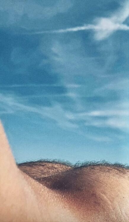 xxxlandscape ass2.jpg