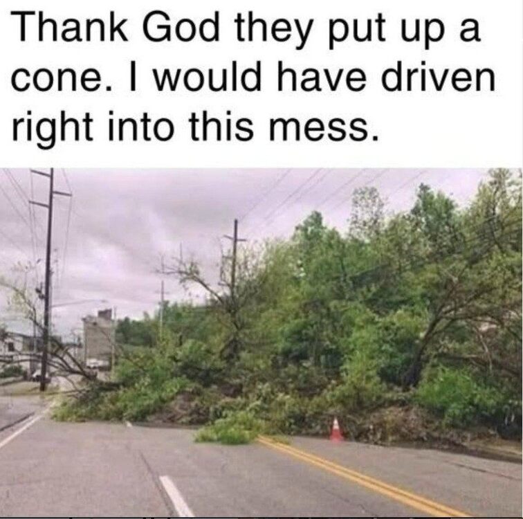 image.thumb.jpeg.d9d1d7a75a114f789b9d64c6e6a86744.jpeg