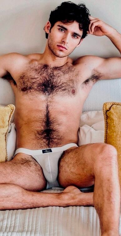 xxxvplhairy.jpg