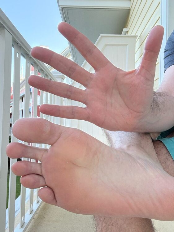 Hands & Feet.jpg