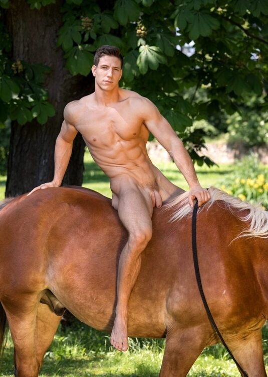 xxxabshorse.JPG