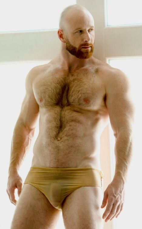 xxxhairy vpl.jpg