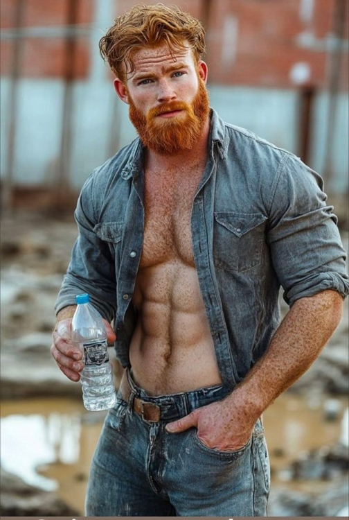 image.thumb.png.a56df356c0db3e23ea515830b90788e7.png