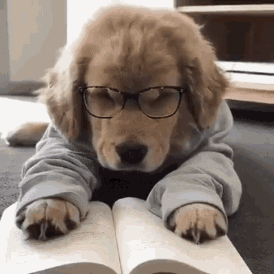 IMG_0249.gif.c7522776a86ff0ed7dcc4b60c25ebfef.gif