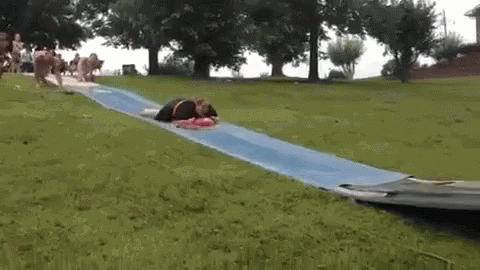 image.gif.1dc846656c3c24b32239b63fd0cdad6e.gif
