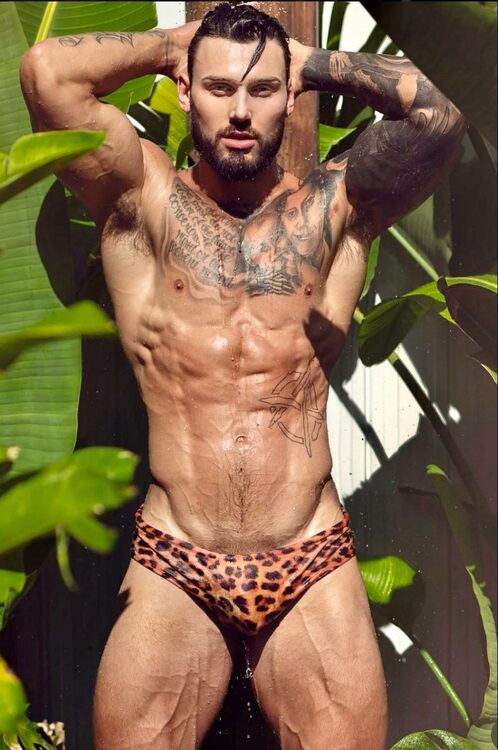 xxxfrontleopard.jpg