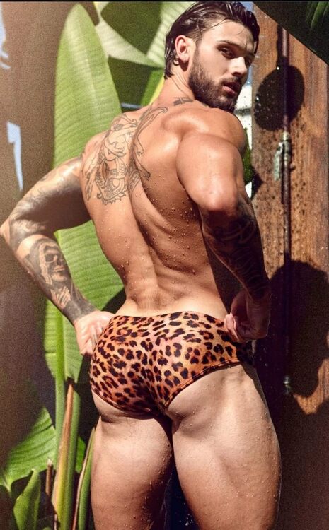 xxxfrontleopard1.jpg
